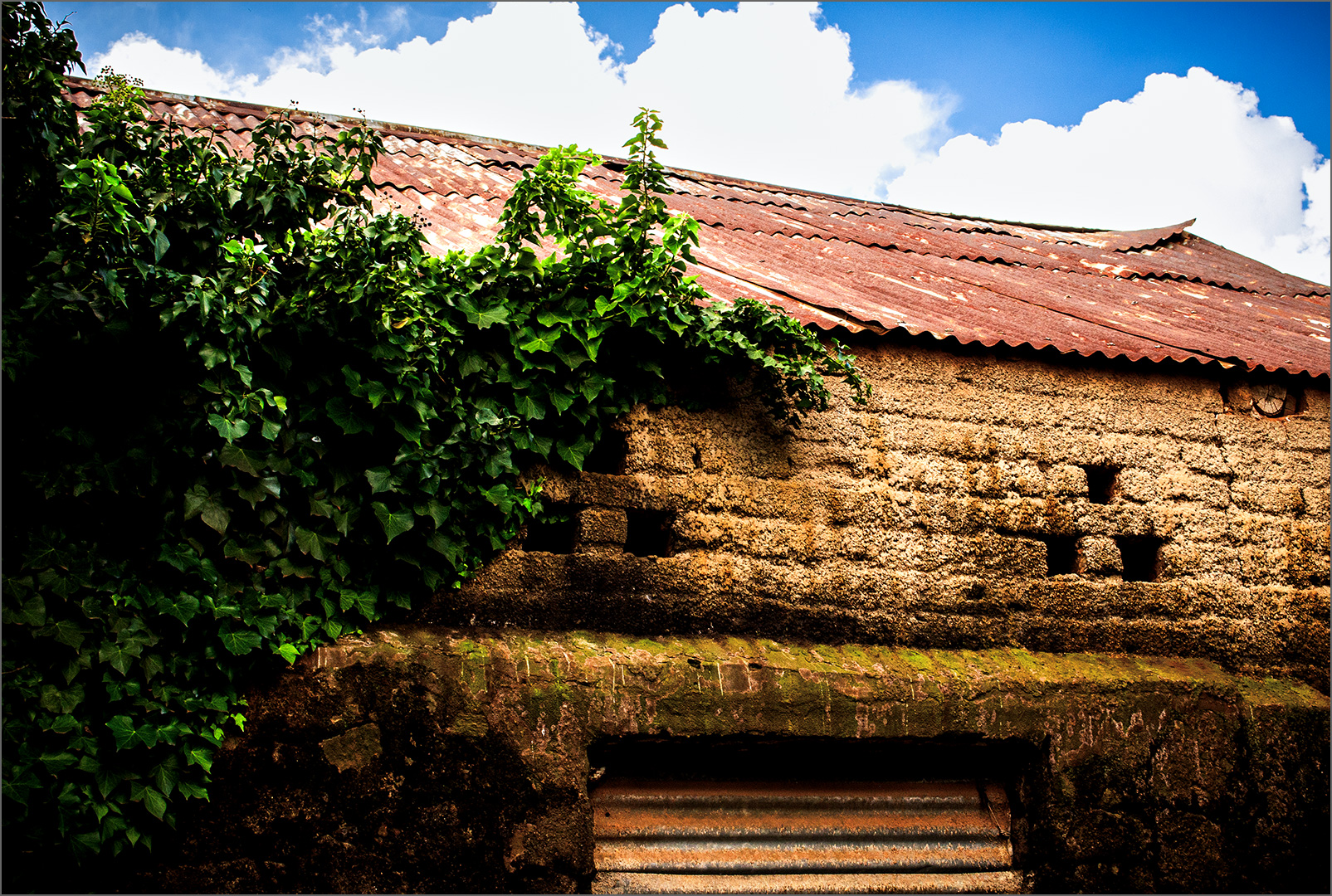 Best Junior Image & Set Subject of the Month